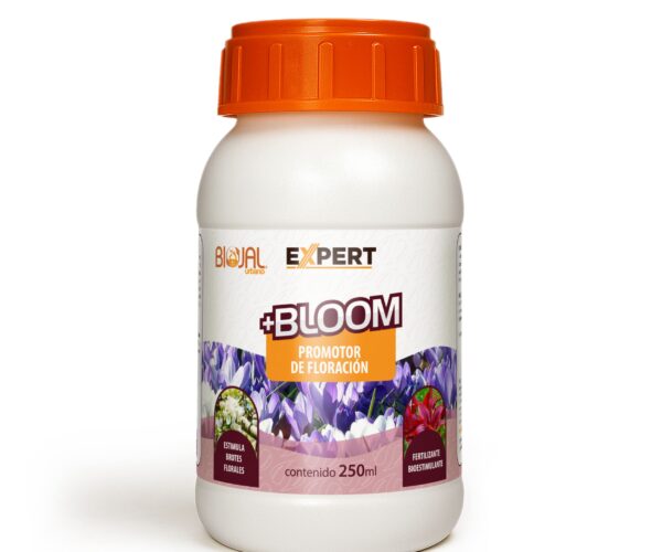 expert bloom