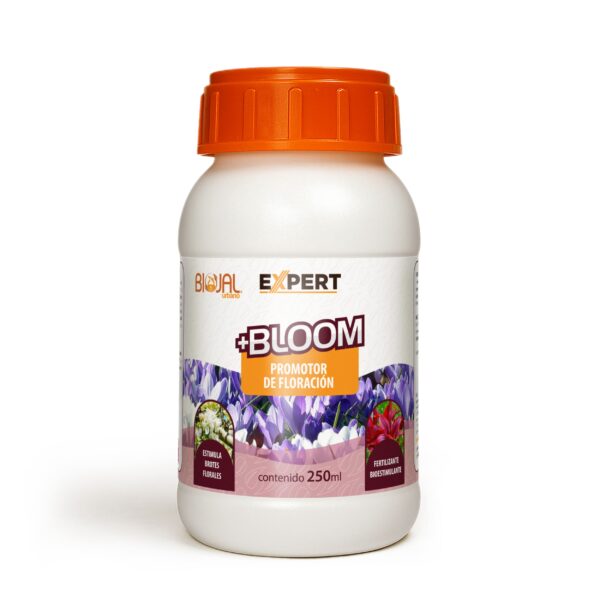 expert bloom