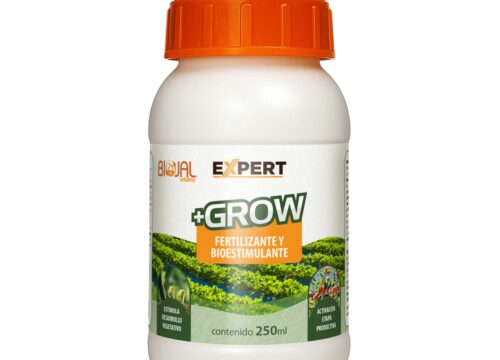 Expert-Grow Expert-Grow
