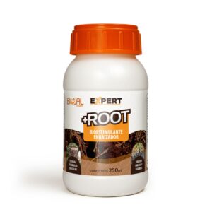 ROOT- Línea expert
