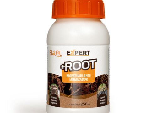Expert-Root Expert-Root
