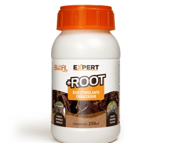 Expert-Root