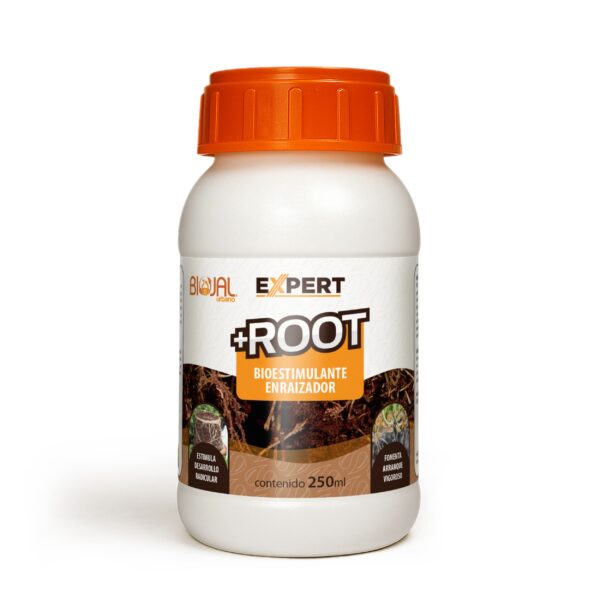 Expert-Root