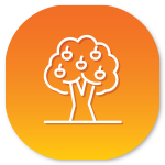 arboles