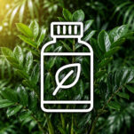 bioestimulantes