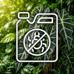Insecticidas