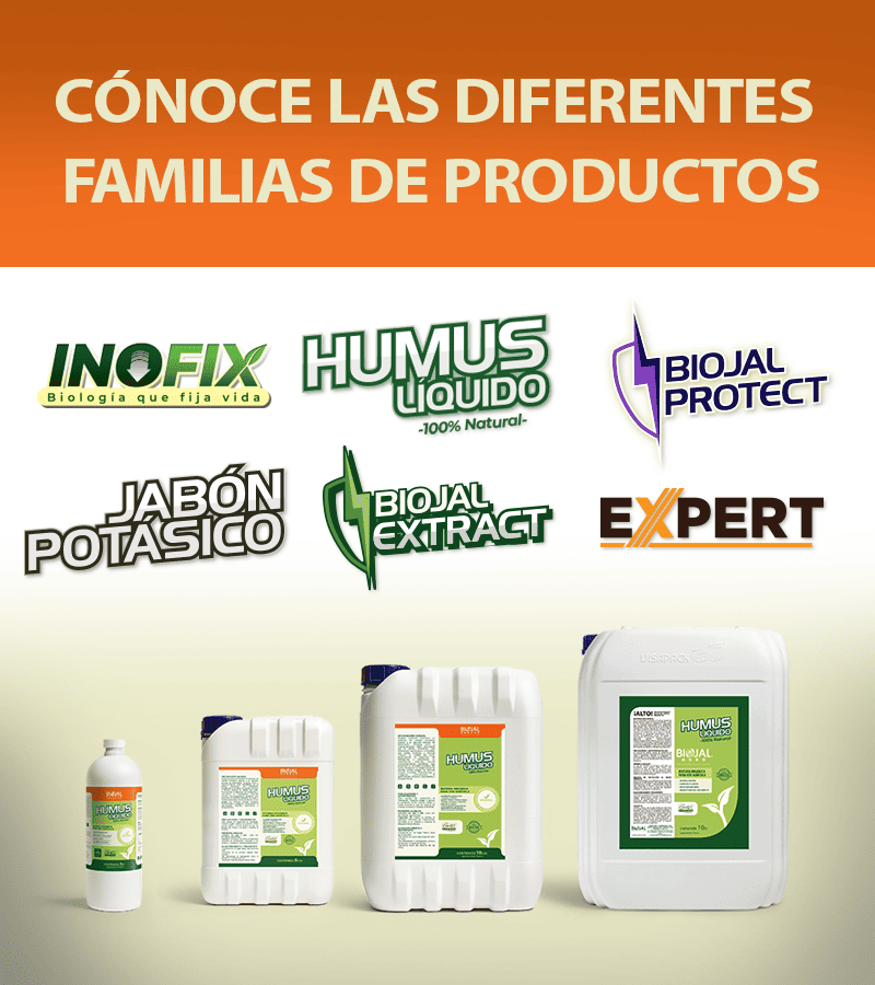 familia de productos